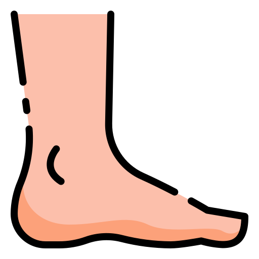 foot